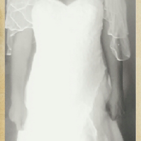 Wedding dress w/ veils and back panel