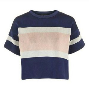 ISO: Topshop Modern Stripe Boxy Tee