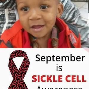 Meet your Posher, Edwina