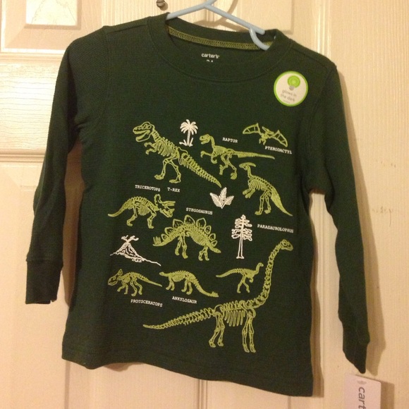 Dark green dinosaur long sleeve shirt