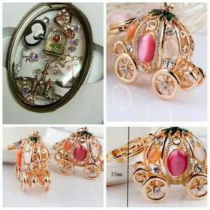 Living Locket Charms and Pendant
