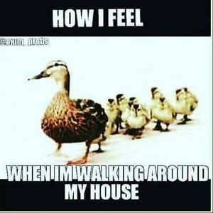 Meet your Posher, Molly