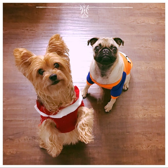 Meet your Posher, - Picture 2 of 3