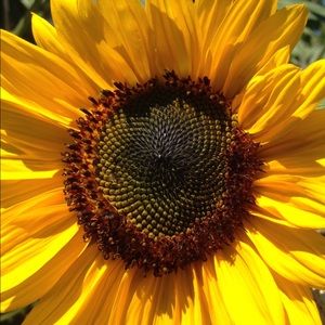 Meet your Posher, Marina