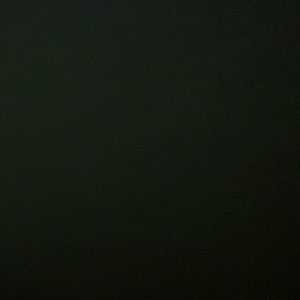 Meet your Posher, Latasha