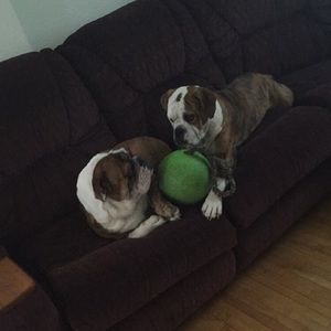 Meet your Posher, Brooke