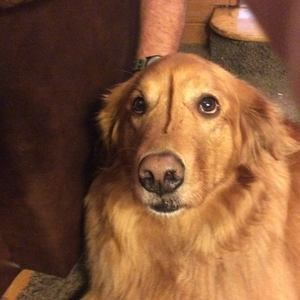 Meet your Posher, Sue