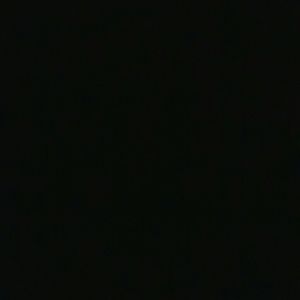 Meet your Posher, Sheena