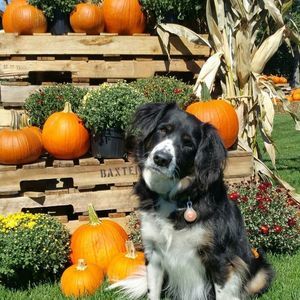 Meet your Posher, Karin