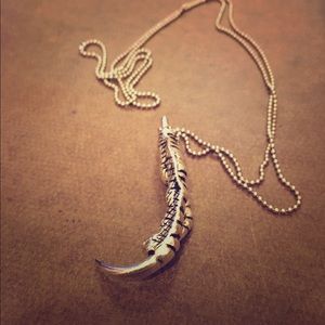 Silver eagle talon necklace