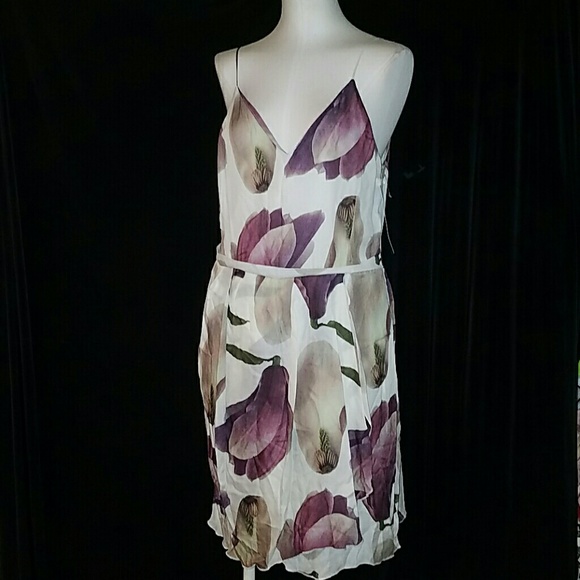 Nicole Bridger I Am Love Magnolia Dress Sz..12