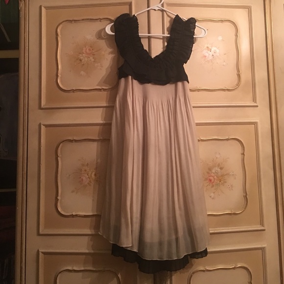 Sheer pleated dress