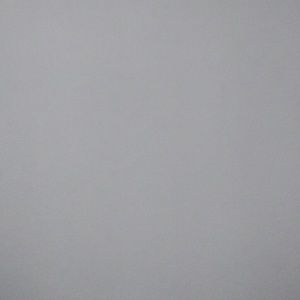 Meet your Posher, Bushra