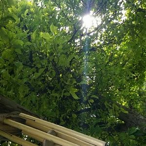 Meet your Posher, Marcy