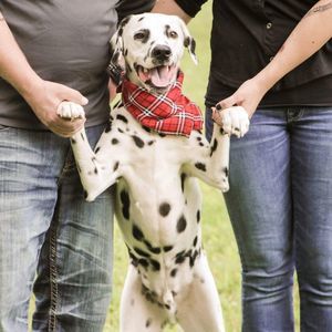 Meet your Posher, Heidi