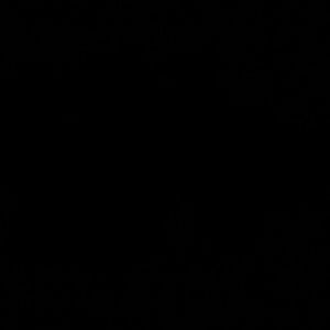 Meet your Posher, Kendall