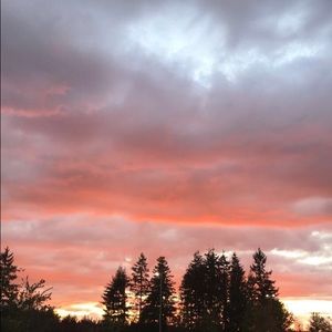 Meet your Posher, Ruby