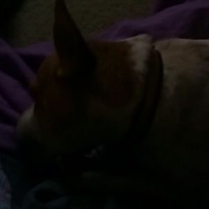 Meet your Posher, Francisca