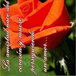 Meet your Posher, Micaela