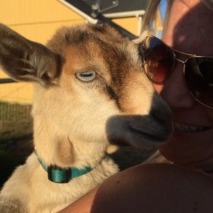 Meet your Posher, Brandi