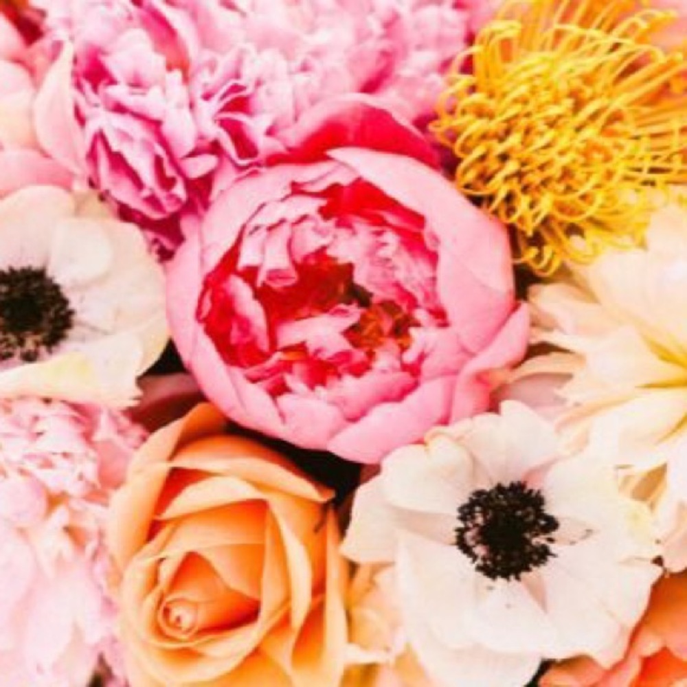 Meet your Posher, BlossomAlley