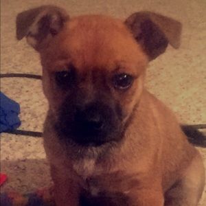 Meet your Posher, Jena