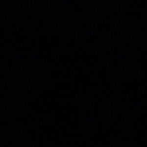 Meet your Posher, Sonya