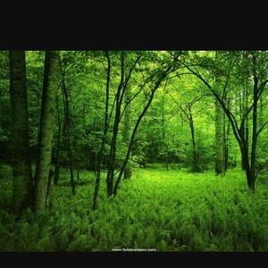 Meet your Posher, Bipin