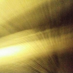 Meet your Posher, Toni