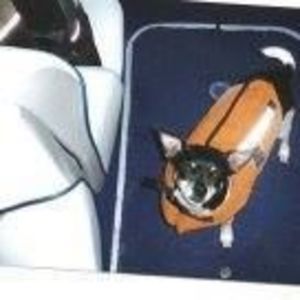 Meet your Posher, Julie