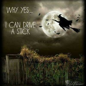 Meet your Posher, Phyllis