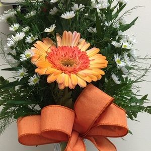 Meet your Posher, Dianna