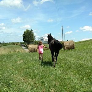 Meet your Posher, Misty