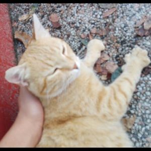 Meet your Posher, Arianna