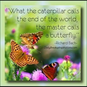 Meet your Posher, Tracy