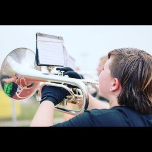 Meet your Posher, Riley