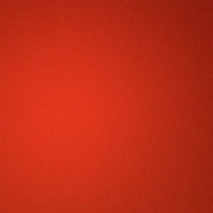 Meet your Posher, Zoe