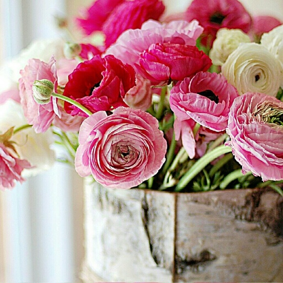 About me Posh Ambassador - Picture 3 of 3