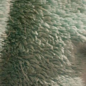 Meet your Posher, Nikki