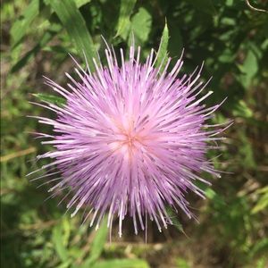 Meet your Posher, Lorie