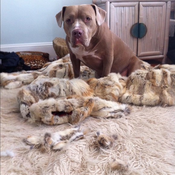 Meet your Posher, Jill - Picture 4 of 4