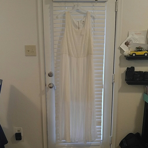 Cato maxi