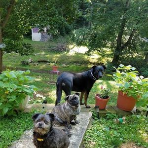 Meet your Posher, Robin