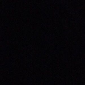 Meet your Posher, Lashaun