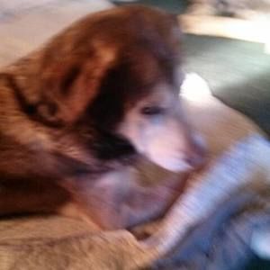 Meet your Posher, Deborah