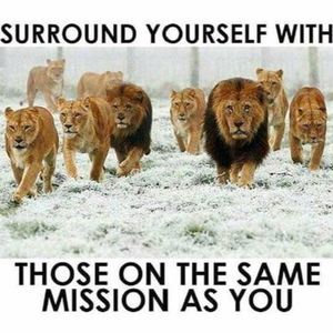 Meet your Posher, Metra