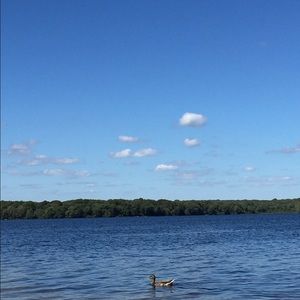 Meet your Posher, Kylie