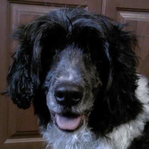 Meet your Posher, Jean