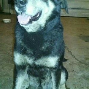 Meet your Posher, Sharon