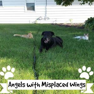 Meet your Posher, Jeanie